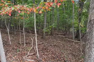 1832 Ridge Rd, Haymarket, VA 20169 - Photo 1