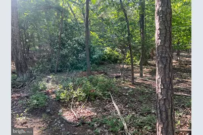 2608 Jackson Drive, Haymarket, VA 20169 - Photo 1