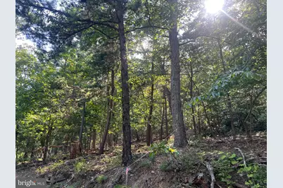 2608 Jackson Drive, Haymarket, VA 20169 - Photo 5