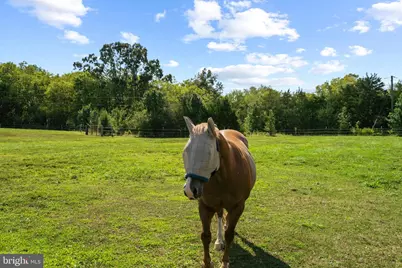 11801 Parkgate Drive, Nokesville, VA 20181 - Photo 5