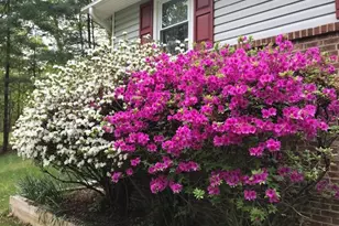 13750 Ensenada Ct, Manassas, VA 20112 - Photo 5