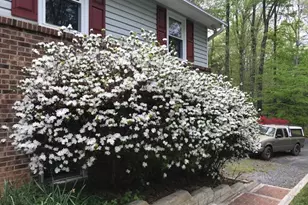 13750 Ensenada Ct, Manassas, VA 20112 - Photo 9