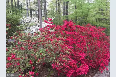 13750 Ensenada Court, Manassas, VA 20112 - Photo 13