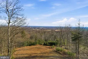 2419 Jackson Dr, Haymarket, VA 20169 - Photo 35