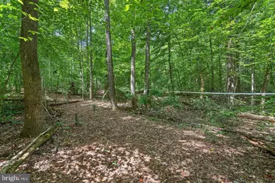 9671 Marlette Drive, Nokesville, VA 20181 - Photo 5