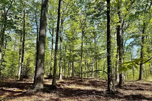 9343 Troy Dr, Nokesville, VA 20181 - Photo 3