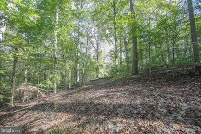 11521 Luther Drive, Manassas, VA 20112 - Photo 19