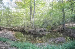 11521 Luther Dr, Manassas, VA 20112 - Photo 25