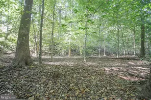 11521 Luther Dr, Manassas, VA 20112 - Photo 27