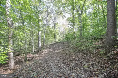 11521 Luther Drive, Manassas, VA 20112 - Photo 21