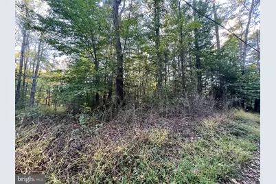 8125 Pappas Drive, Manassas, VA 20112 - Photo 5