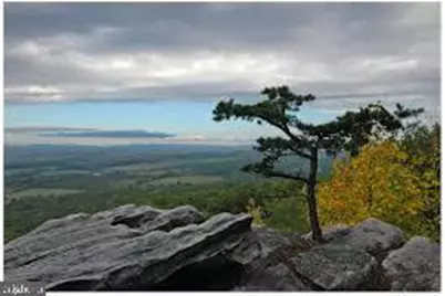 2609 Lookout Road, Haymarket, VA 20169 - Photo 7