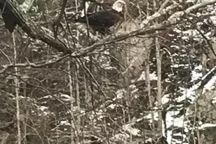 11999 Manning Rd, Manassas, VA 20112 - Photo 67