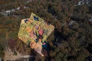 13469 Fowke Ln, Woodbridge, VA 22192 - Photo 3