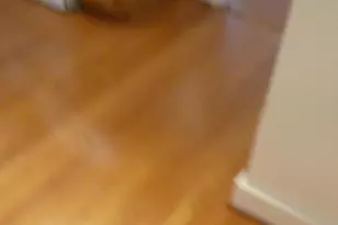 408 C St, Quantico, VA 22134 - Photo 7