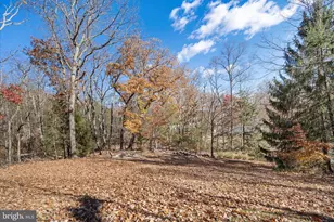 2400 Youngs Dr, Haymarket, VA 20169 - Photo 29