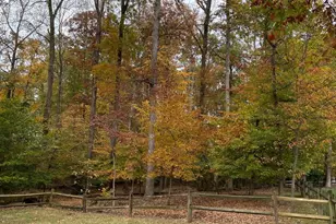 12060 Willowood Dr, Woodbridge, VA 22192 - Photo 31