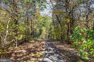 9107 Kearney Pl, Bristow, VA 20136 - Photo 67