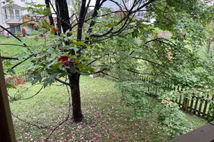 2807 White Birch Ct, Woodbridge, VA 22192 - Photo 47