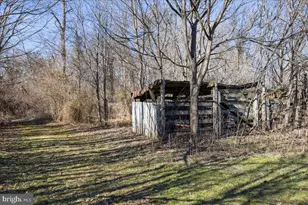 6772 East Side, Elkton, VA 22827 - Photo 51