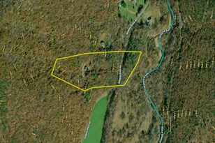 22606 German River Rd, Criders, VA 22820 - Photo 73