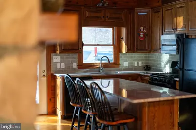 22606 German River Road, Criders, VA 22820 - Photo 19