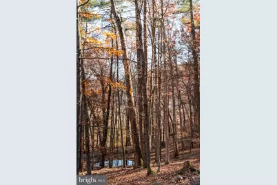 22606 German River Road, Criders, VA 22820 - Photo 65