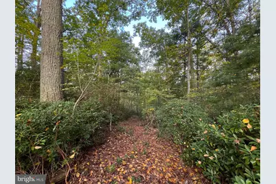 243 Aaron Mountain Road, Castleton, VA 22716 - Photo 47