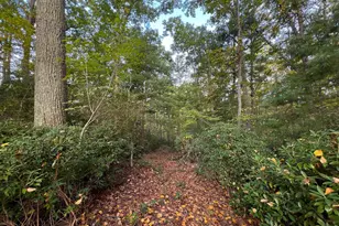 243 Aaron Mountain Rd, Castleton, VA 22716 - Photo 47