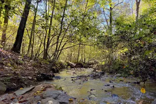 243 Aaron Mountain Rd, Castleton, VA 22716 - Photo 51