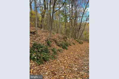 Woodlands Drive, Flint Hill, VA 22627 - Photo 9