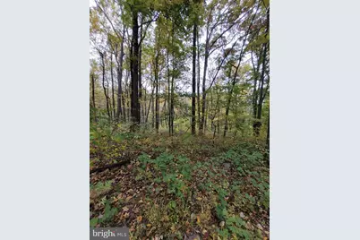 Woodlands Drive, Flint Hill, VA 22627 - Photo 25