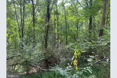 Tbd Jackson Lane, Boston, VA 22713 - Photo 3