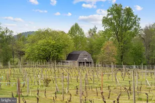 92 School House Rd, Washington, VA 22747 - Photo 41