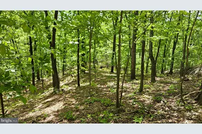 559 Bessie Bell Mountain Road, Castleton, VA 22716 - Photo 75