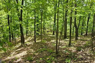 559 Bessie Bell Mountain Rd, Castleton, VA 22716 - Photo 75