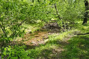 559 Bessie Bell Mountain Rd, Castleton, VA 22716 - Photo 71