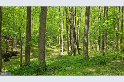 559 Bessie Bell Mountain Road, Castleton, VA 22716 - Photo 73