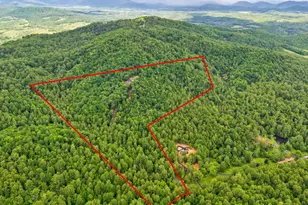 559 Bessie Bell Mountain Rd, Castleton, VA 22716 - Photo 61