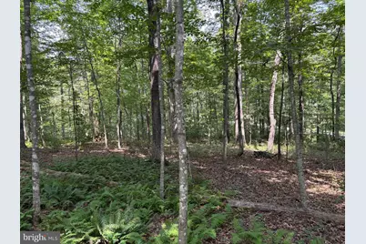 0 Weaver Road, Amissville, VA 20106 - Photo 9