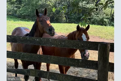 14105 Lee Highway, Amissville, VA 20106 - Photo 25