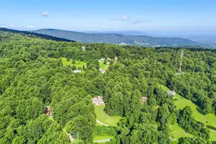 46 Rock Ridge Ln, Chester Gap, VA 22623 - Photo 53