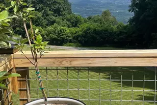 46 Rock Ridge Ln, Chester Gap, VA 22623 - Photo 61