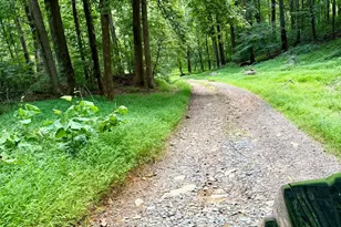 669 Gid Brown Hollow Rd, Washington, VA 22747 - Photo 47