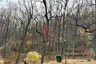 669 Gid Brown Hollow Rd, Washington, VA 22747 - Photo 41