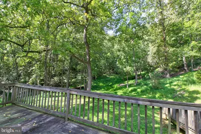 669 Gid Brown Hollow Road, Washington, VA 22747 - Photo 31