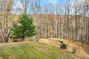 669 Gid Brown Hollow Rd, Washington, VA 22747 - Photo 53