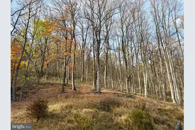 669 Gid Brown Hollow Road, Washington, VA 22747 - Photo 51