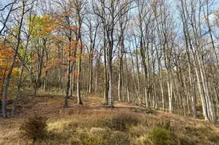 669 Gid Brown Hollow Rd, Washington, VA 22747 - Photo 51