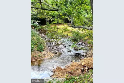Tiger Valley Road, Washington, VA 22747 - Photo 13